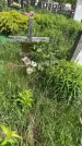 Захоронение ID 1365399