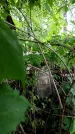 Захоронение ID 1365400