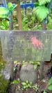 Захоронение ID 1365724