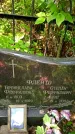 Захоронение ID 1365739