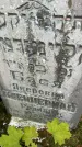 Захоронение ID 1365770