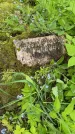 Захоронение ID 1365787