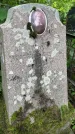 Захоронение ID 1365842