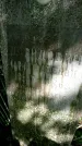 Захоронение ID 1365919