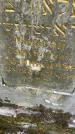 Захоронение ID 1365998