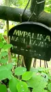 Захоронение ID 1366077