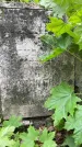Захоронение ID 1366099