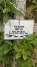 Захоронение ID 1366166
