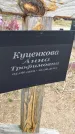 Захоронение ID 1366184