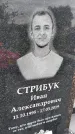 Захоронение ID 1366533