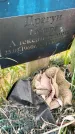 Захоронение ID 1366580