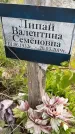 Захоронение ID 1366591