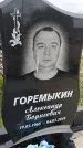 Захоронение ID 1366599