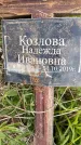 Захоронение ID 1366649