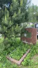 Захоронение ID 1366805
