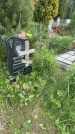 Захоронение ID 1366839