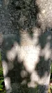 Захоронение ID 1366909