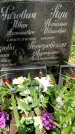 Захоронение ID 1366915