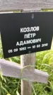 Захоронение ID 1367218