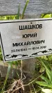 Захоронение ID 1367266