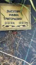 Захоронение ID 1367285