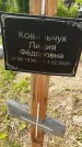 Захоронение ID 1367287