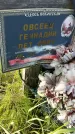 Захоронение ID 1367381