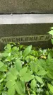 Захоронение ID 1367509