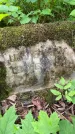 Захоронение ID 1367700
