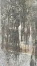 Захоронение ID 1367630