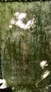 Захоронение ID 1367818