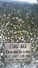 Захоронение ID 1367868