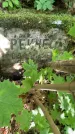 Захоронение ID 1368028
