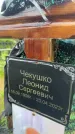 Захоронение ID 1368118