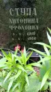 Захоронение ID 1368185