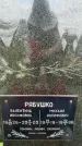 Захоронение ID 1368228