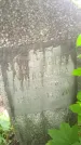 Захоронение ID 1368248