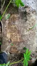 Захоронение ID 1368249