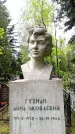 Захоронение ID 1368310