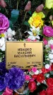 Захоронение ID 1368348