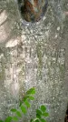 Захоронение ID 1368430