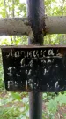 Захоронение ID 1368508