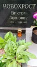 Захоронение ID 1368564