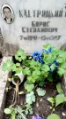 Захоронение ID 1368586