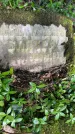 Захоронение ID 1368605