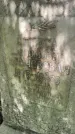 Захоронение ID 1368627