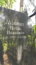Захоронение ID 1368638