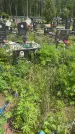 Захоронение ID 1368683