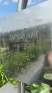 Захоронение ID 1368713
