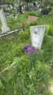 Захоронение ID 1368726